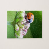 Puzzle Ladybug mou (Horizontal)