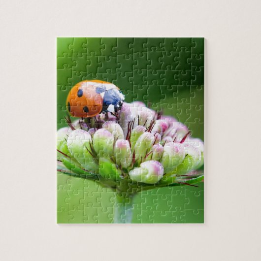 Puzzle Ladybug mou (Vertical)