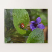 Puzzle Ladybug sur les fleurs de violet doux (Horizontal)