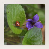 Puzzle Ladybug sur les fleurs de violet doux (Horizontal)
