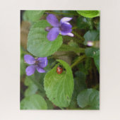 Puzzle Ladybug sur les fleurs de violet doux (Vertical)