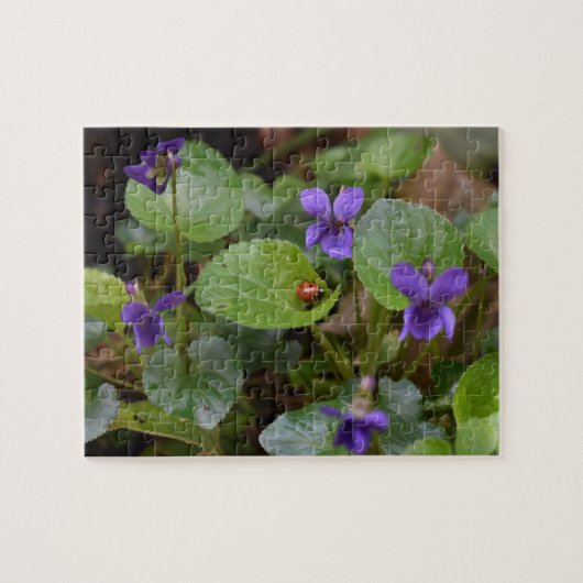Puzzle Ladybug sur les fleurs de violet doux (Horizontal)