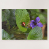 Puzzle Ladybug sur les fleurs de violet doux (Horizontal)