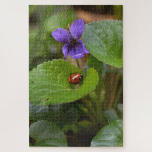 Puzzle Ladybug sur les fleurs de violet doux