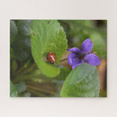 Puzzle Ladybug sur les fleurs de violet doux (Horizontal)