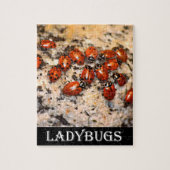 Puzzle Ladybugs (Vertical)