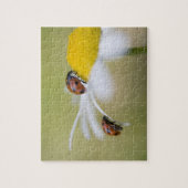 Puzzle Ladybugs sur une marguerite à oeil oxydé, Biei, Ho (Vertical)