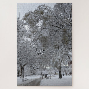 Puzzle Lafayette Carré, Washington, DC, sentier d'hiver