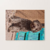Puzzle Lagotto Romagnolo Attend Par Une Porte Bleue (Horizontal)