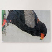 Puzzle L'aigle Bateleur (Horizontal)