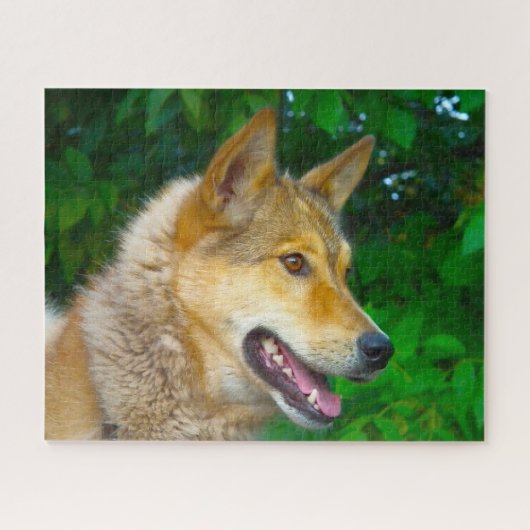 Puzzle Laika Dog Jigsaws. (Horizontal)