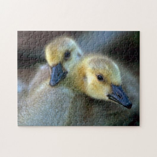 Puzzle Lakeside (Horizontal)