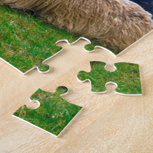 Puzzle Lama dans Machu Picchu (Côté)