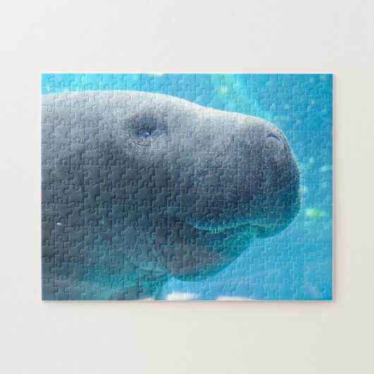 Puzzle Lamantin en Floride (Horizontal)