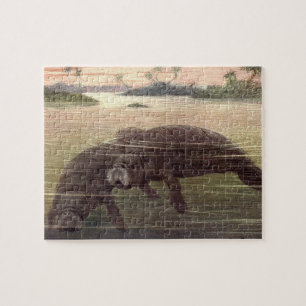 Puzzle Lamantins anciens ou vaches marines, mammifères ma