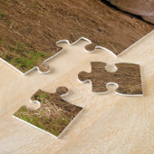 Puzzle Lamas avec le bébé Cria (Côté)
