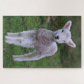 Puzzle Lamb Bébé Mouton ferme animal (Horizontal)