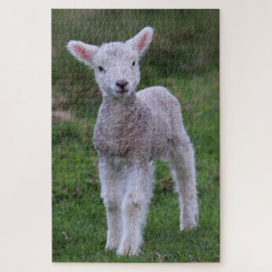 Puzzle Lamb Bébé Mouton ferme animal