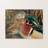 Puzzle L'amour dans les roseaux : Une paire de canards en (Horizontal)