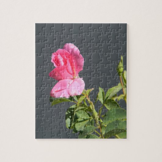 Puzzle L'Amour de l'été... (Vertical)