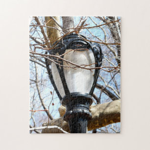 Puzzle Lampe Post New York Central Park