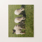 Puzzle Lampes Babydoll Southdown (Vertical)