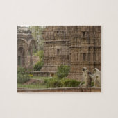 Puzzle Langurs d'Hanuman ou langur gris, commun ou à face (Horizontal)