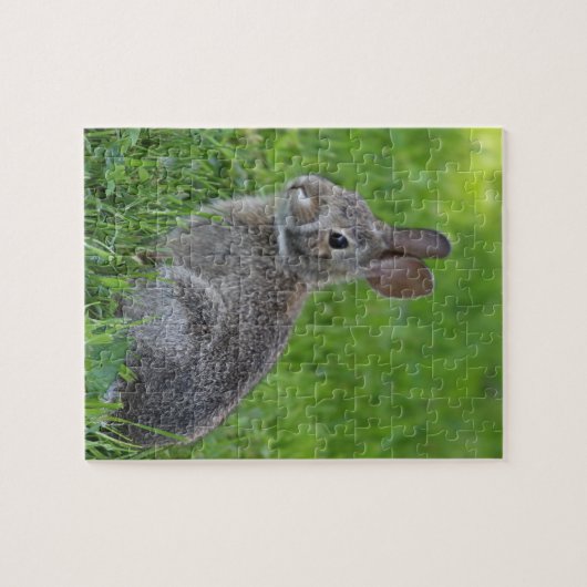 Puzzle Lapin (Horizontal)