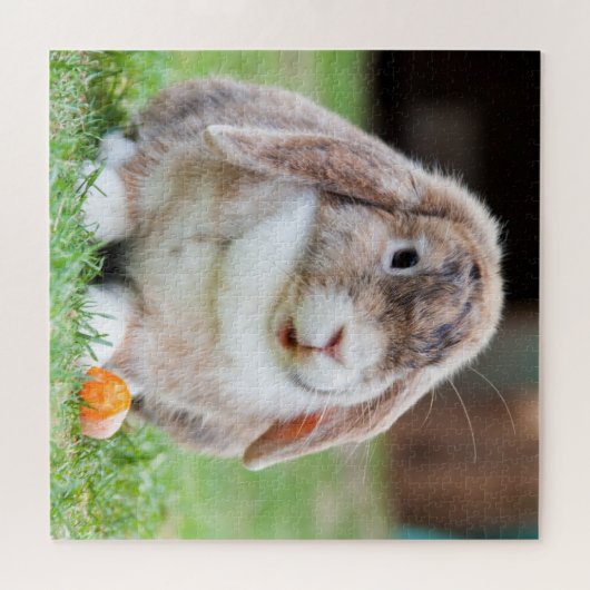Puzzle Lapin (Horizontal)