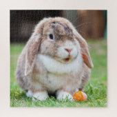 Puzzle Lapin (Vertical)