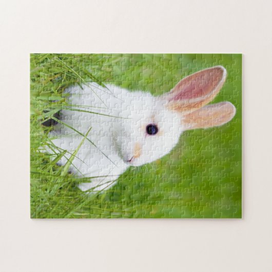 Puzzle Lapin blanc (Horizontal)