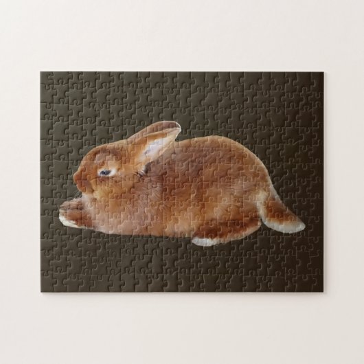 Puzzle Lapin Brown (Horizontal)