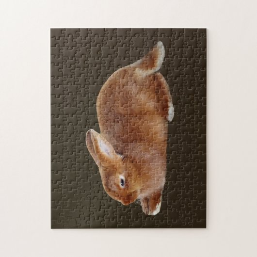 Puzzle Lapin Brown (Vertical)