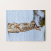 Puzzle Lapin dans la neige (Horizontal)