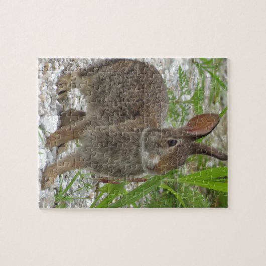 Puzzle Lapin de lapin (Horizontal)