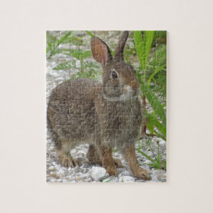 Puzzle Lapin de lapin