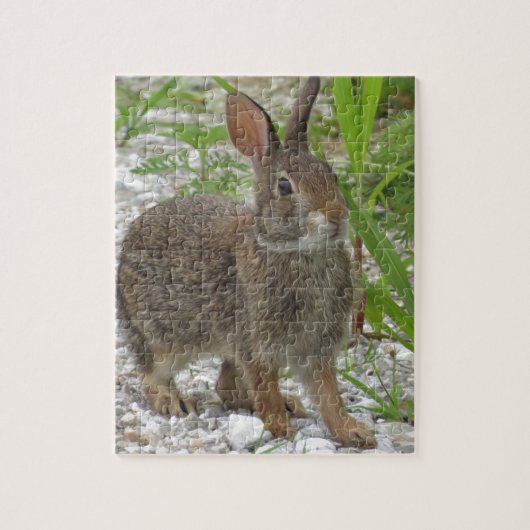 Puzzle Lapin de lapin (Vertical)