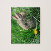 Puzzle Lapin de lapin de bébé (Vertical)