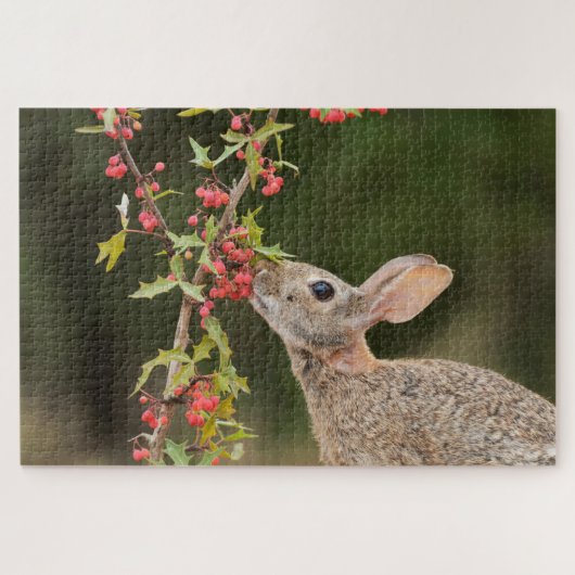 Puzzle Lapin de l'Est | Sud du Texas (Horizontal)