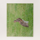Puzzle Lapin debout dans l'herbe et l'air timide (Vertical)