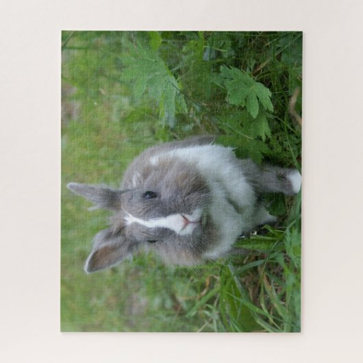 Puzzle Lapin lapin (Vertical)