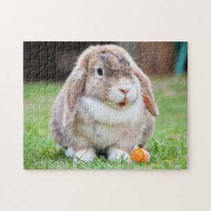 Puzzle Lapin Lapin De Mini Lop
