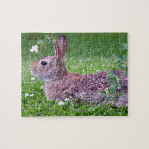 Puzzle Lapin lapin en herbe - photo de fermeture