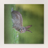 Puzzle Lapin Lapin Nature Photo (Horizontal)