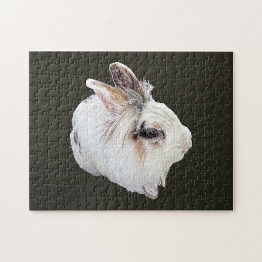 Puzzle Lapin Lionhead tricolore (Horizontal)