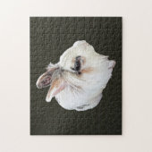 Puzzle Lapin Lionhead tricolore (Vertical)