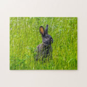Puzzle lapin noir (Horizontal)