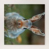 Puzzle Lapin russe bleu, (Horizontal)