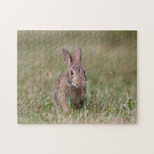 Puzzle Lapin sauvage (Horizontal)