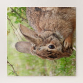 Puzzle Lapin sauvage Brown Fluffy OH MON (Vertical)